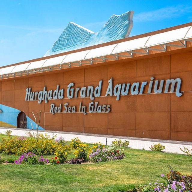 Excursion Aquarium